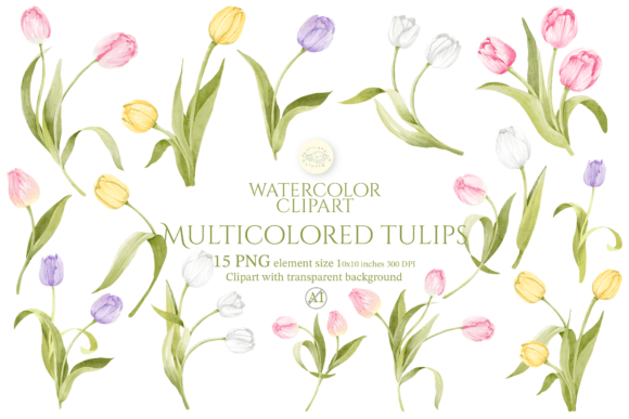 Download Watercolor Multicolored Tulips Clipart - Color Collection