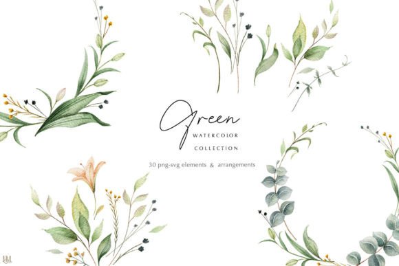 Download Watercolor Greenery Collection - Color Collection