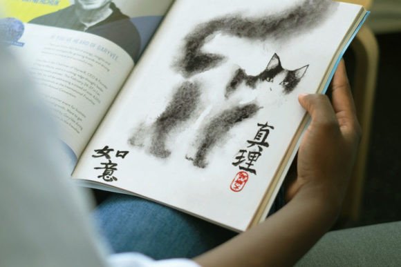 Download Japanese Watercolor Zen Art - Cat Image - Color Collection